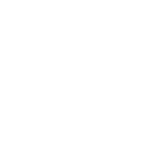 Kollek